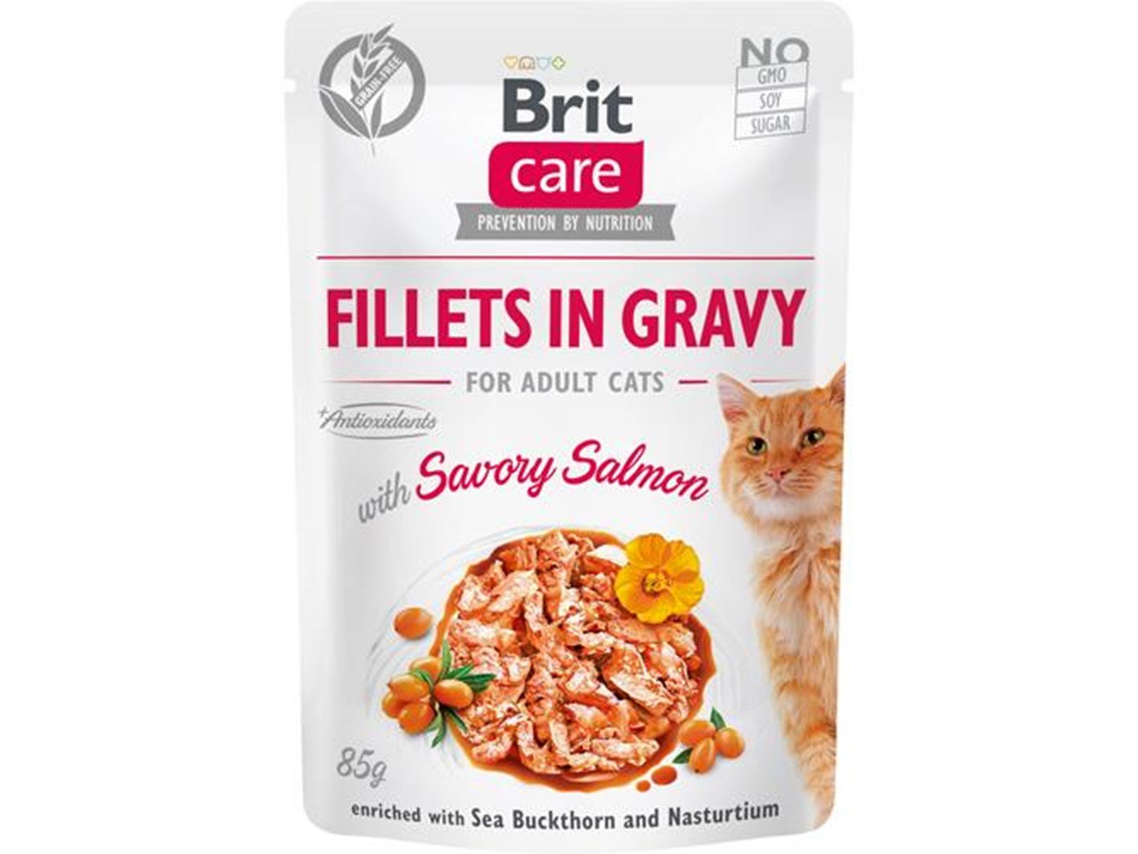 Brit Care Cat Fillets in Gravy with Savory Salmon 85g Brit Care Cat Fillets in Gravy with Savory Salmon 85g